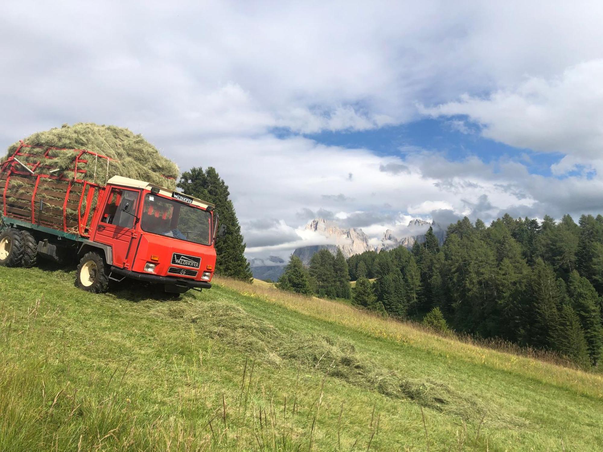 Sule Hof Agriturismo Ortisei Bagian luar foto